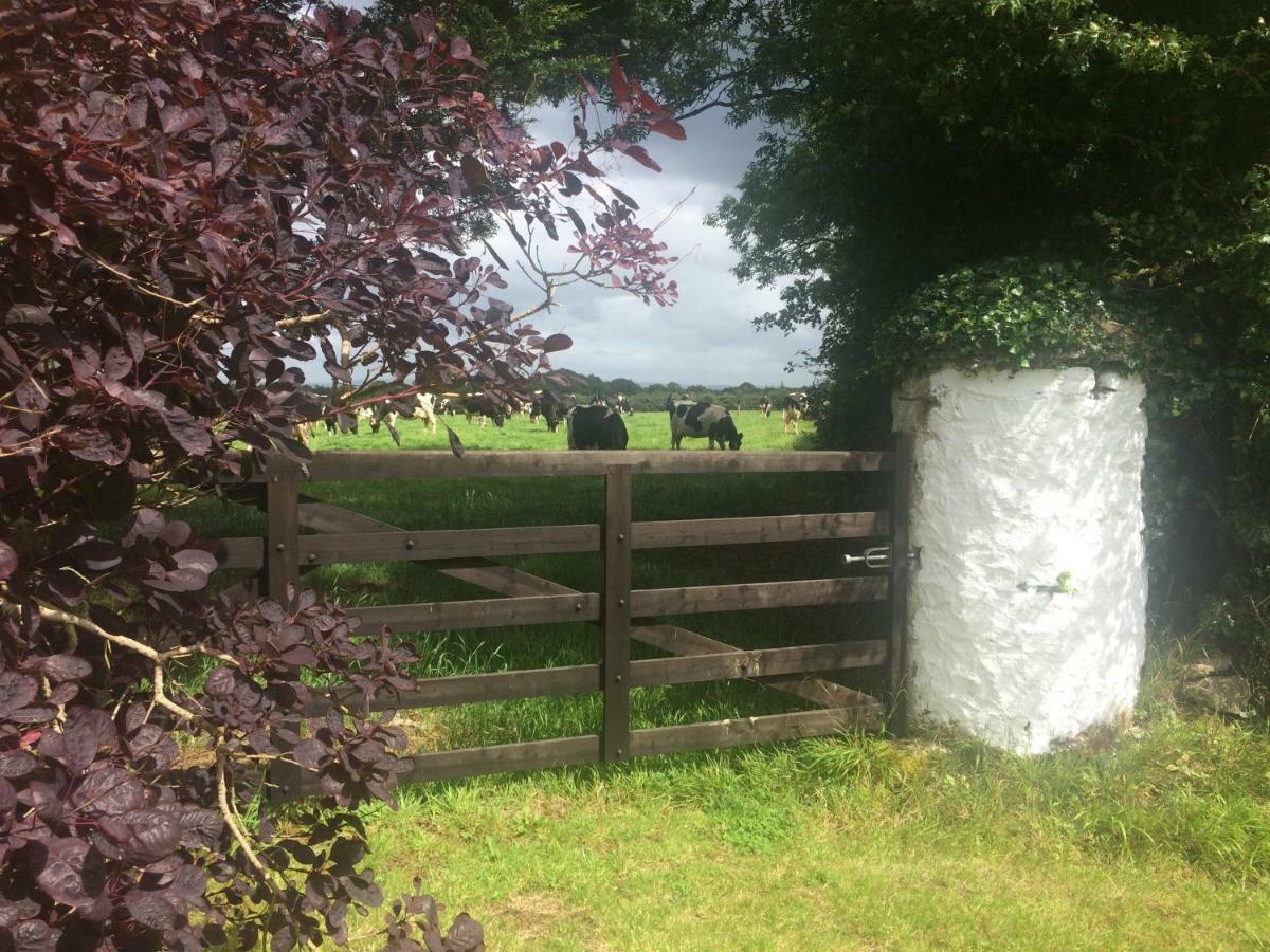 Tralia Farmhouse Self Catering Farranfore Zewnętrze zdjęcie